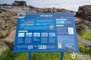 뿔소라공원