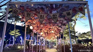 괴강불빛공원
