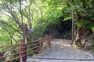 낙대폭포