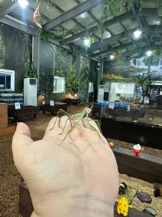 굼벵이브라더스