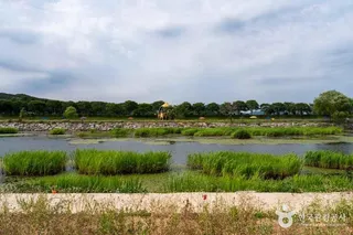 황미르랜드 테마공원
