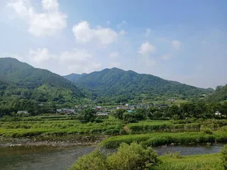 동강마을