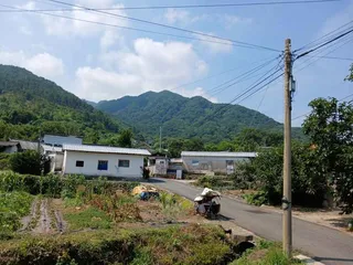 동강마을