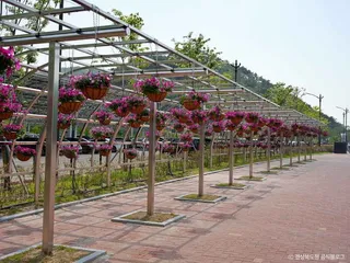 라원