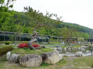 라원