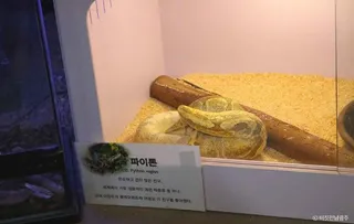 광주벅스랜드