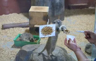 광주벅스랜드
