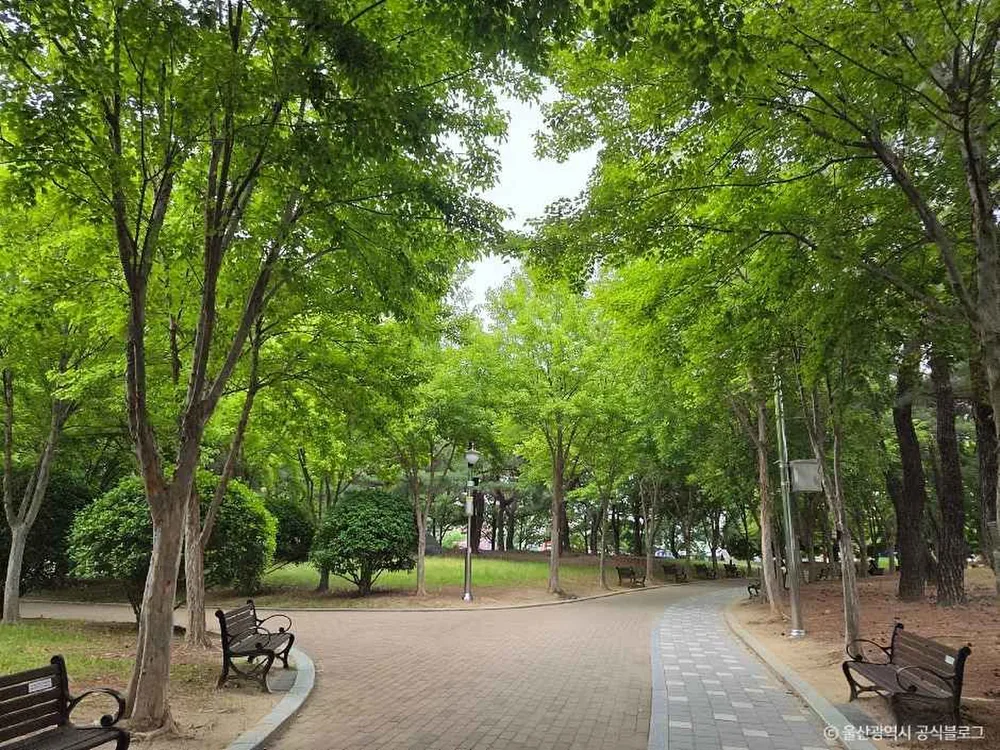 문화공원(울산)