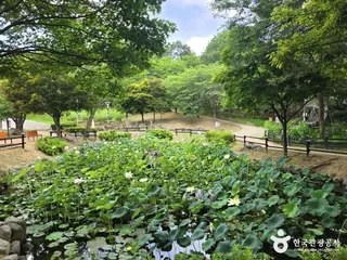 용두공원