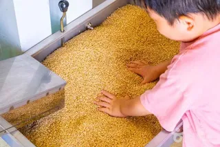 랑이네 이음 정미소