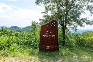 금낙정