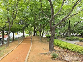 우호의 정원