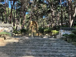 청련사(창녕)