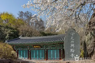 흥륜사(순천)