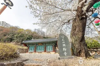흥륜사(순천)