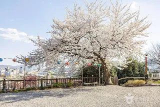흥륜사(순천)