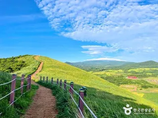 새별오름