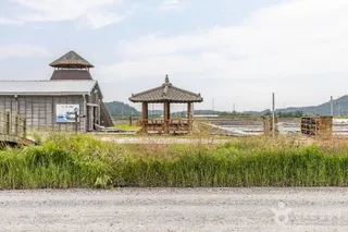 증도(신안)