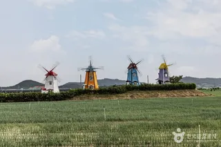 임자도