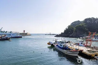 호도