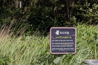 호도