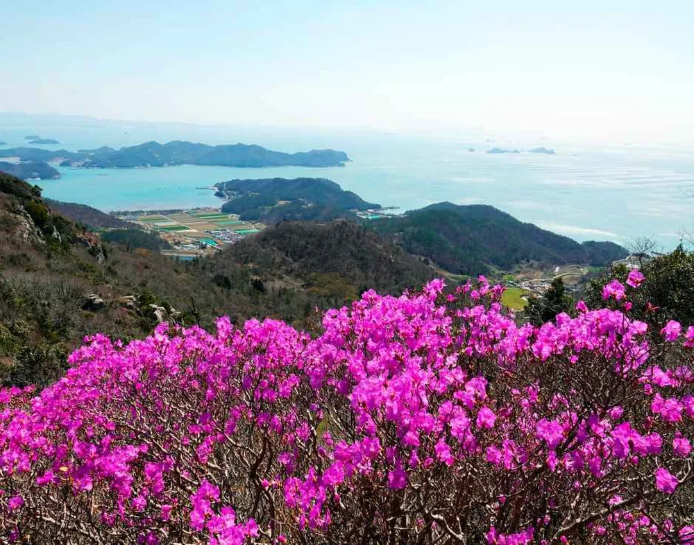 여귀산