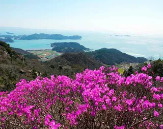 여귀산