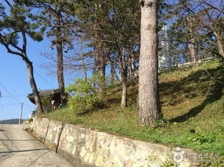 보은산