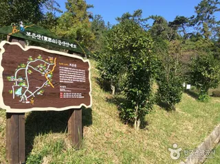 보은산