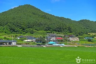 내나로도
