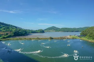 외나로도