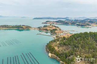 연홍도