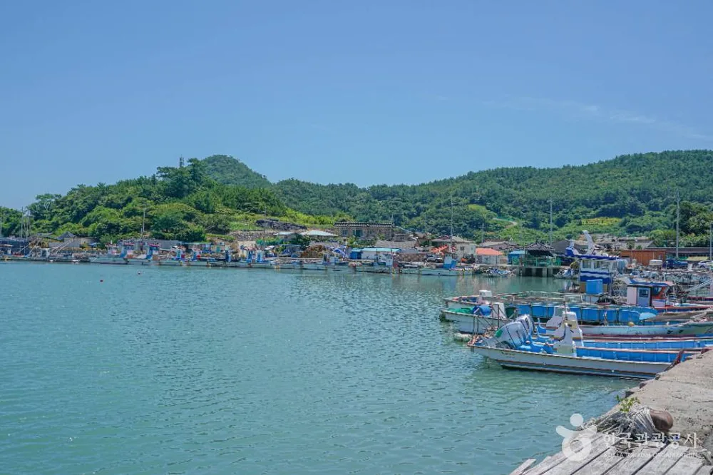 지죽도