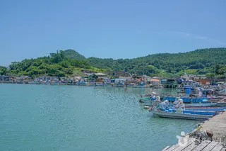 지죽도