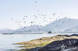 하화도(고흥)