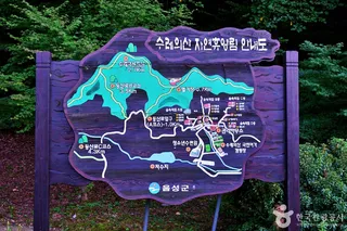 수레의산자연휴양림