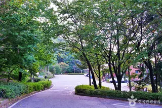 수레의산자연휴양림