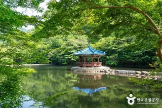우화정(내장산)