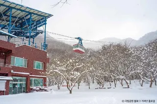 내장산 케이블카