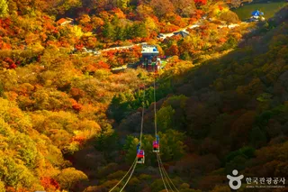 내장산 케이블카