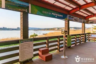 하도리 철새도래지