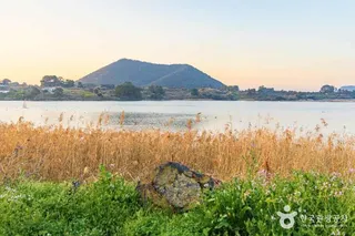 하도리 철새도래지