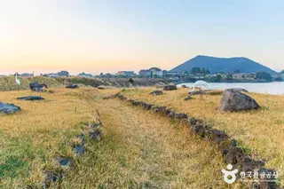 하도리 철새도래지
