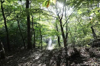 관음봉