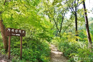 국립대야산자연휴양림