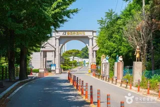 대전솔로몬로파크