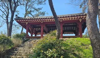 양과동정