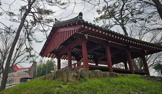 양과동정