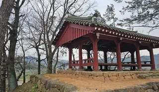 양과동정