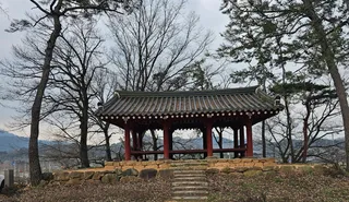 양과동정